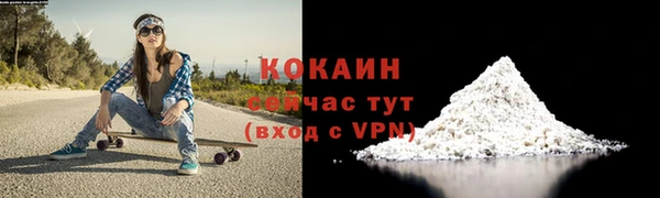 гидра Переславль-Залесский